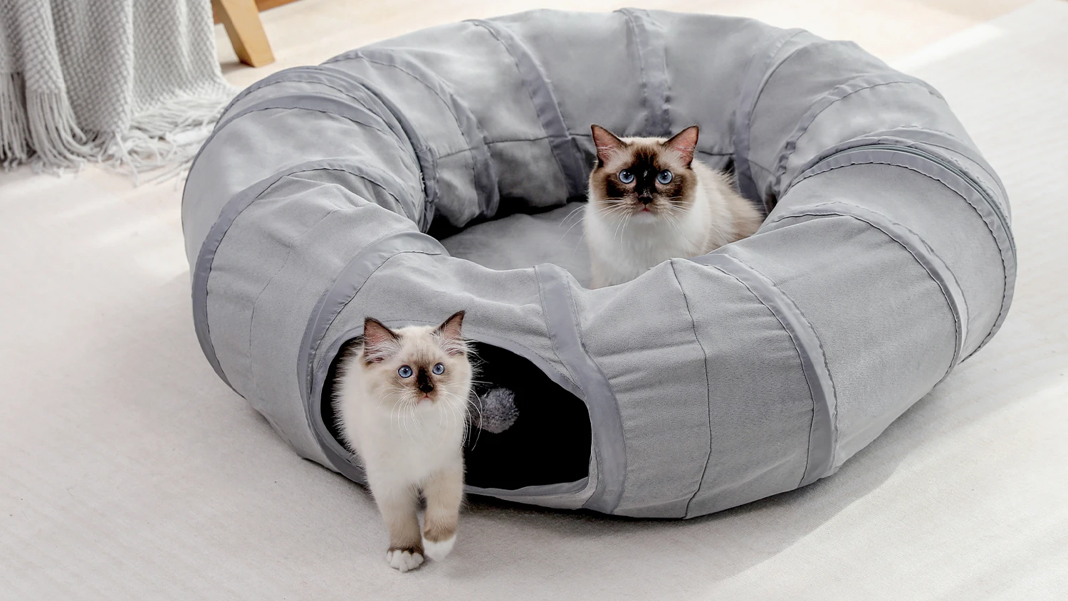 Foldable PAWZRoad Indoor Cat Tunnel with 2-in-1 Soft Cushion