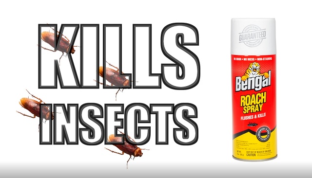 thumbnail video image 2 of Bengal Roach Spray, Odorless Stain-Free Dry Spray, 13 oz Aerosol Can, 2 of 10