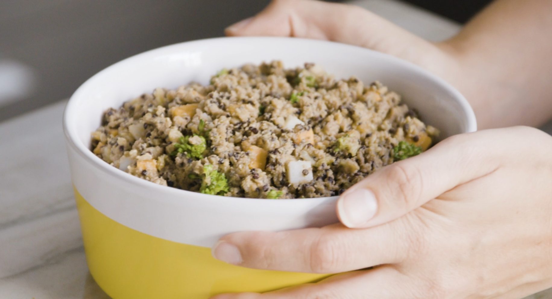 thumbnail video image 2 of PetPlate Human-Grade Venison Entrée, Fresh Dog Food, All Life Stages, Frozen, 8oz, 2 of 13