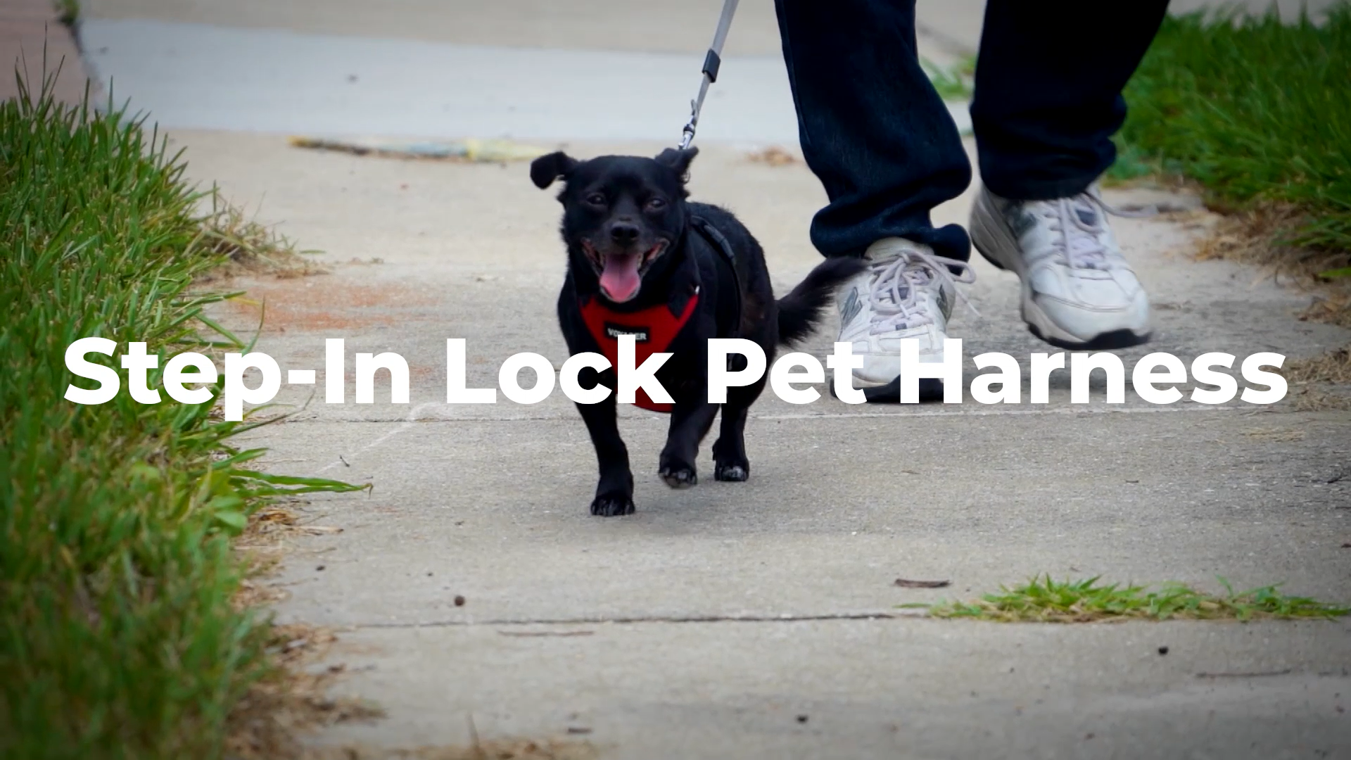 thumbnail video image 2 of Voyager Step-in Lock Pet Harness – All Weather Mesh, Adjustable Step in Harness for Cats and Dogs, 2 of 6