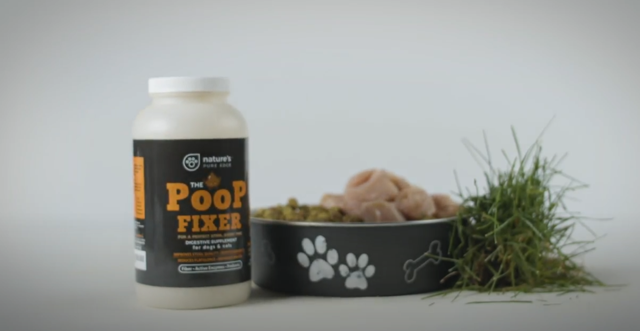 thumbnail video image 2 of Nature's Pure Edge Digestion Enzyme Fiber Supplement for Cats and Dogs, 380 Grams, 2 of 9