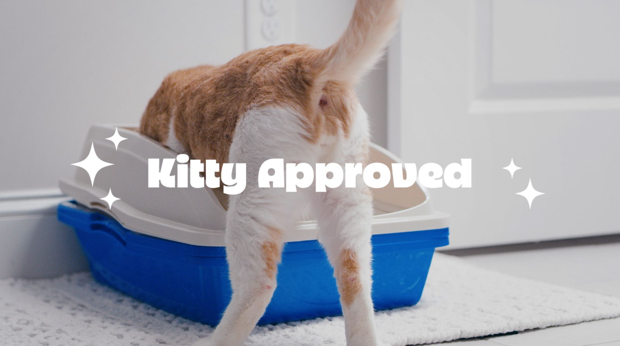 thumbnail video image 2 of Zero Odor Litter Box Odor Eliminator Refill Cat Kitty Litter Deodorizer Pet Smell Remover 64 oz, 2 of 10