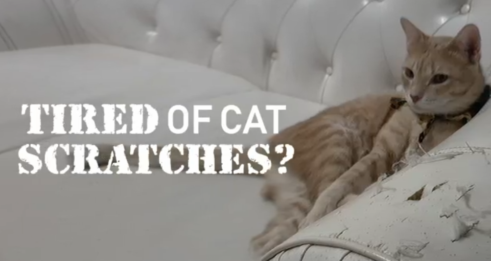 thumbnail video image 2 of EBPP Stop The Scratch Anti Scratch Cat Spray with Rosemary Oil & Lemongrass Oil, 8 fl oz, 2 of 9