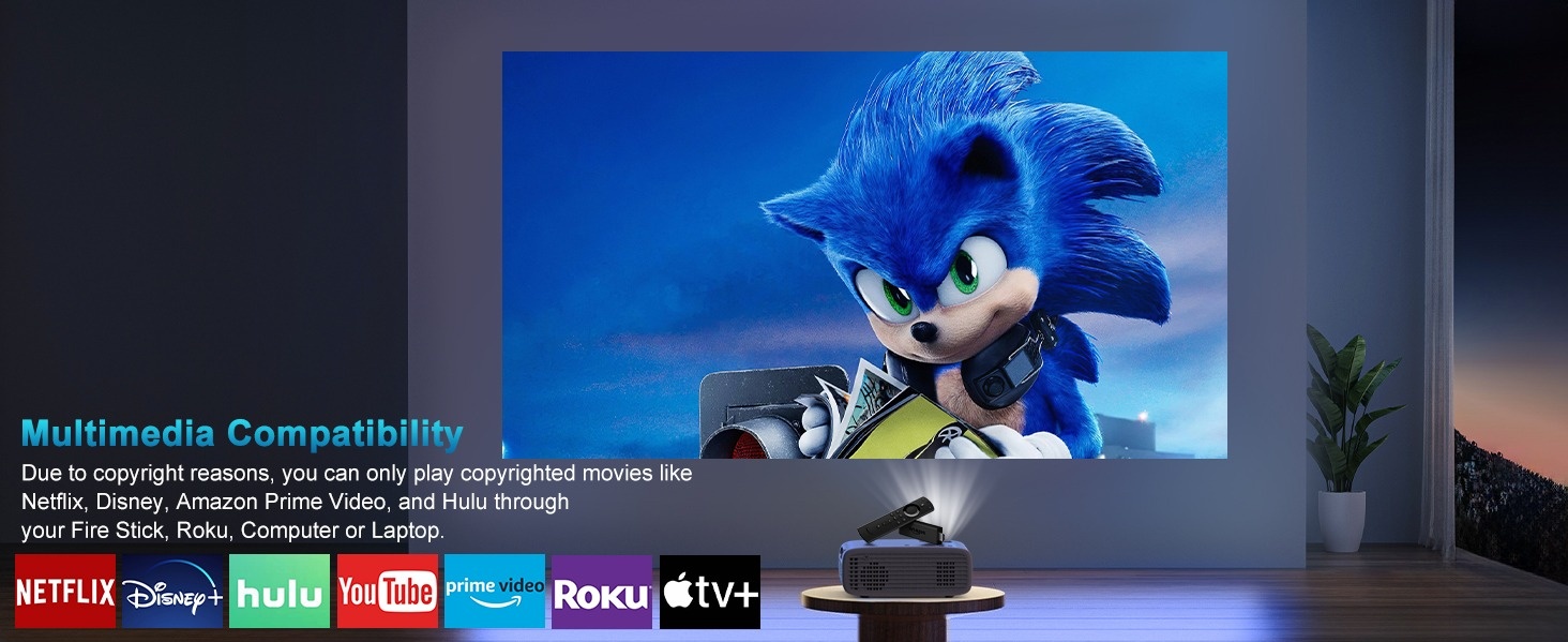 Netflix Sonic Hulu Netflix Sonic X Hulu Sonic Boom: Where To Watch