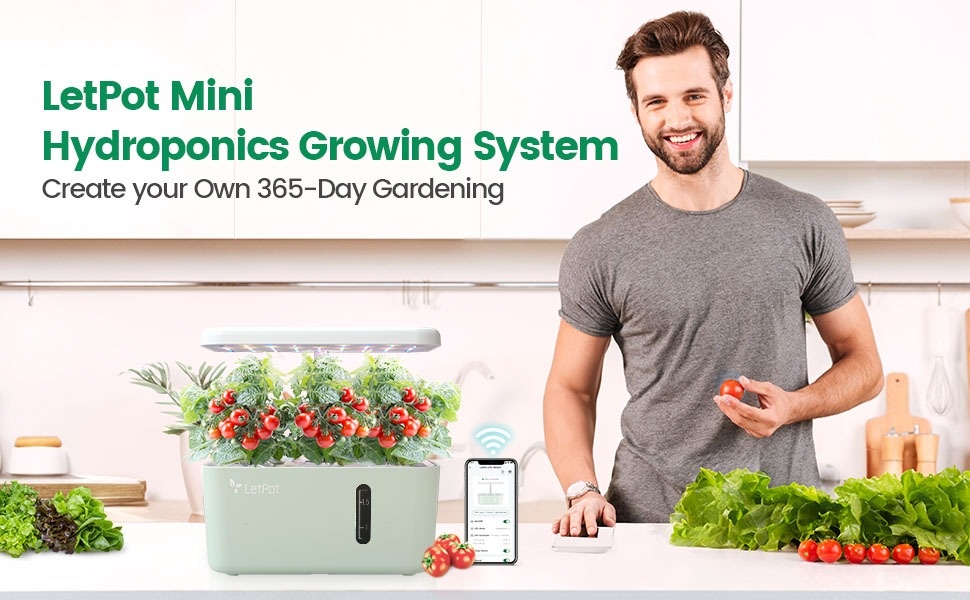 Smart Pod Touch セット Smart Pod Touch セット プリズムストーン スマートポッドタッチ｜商品