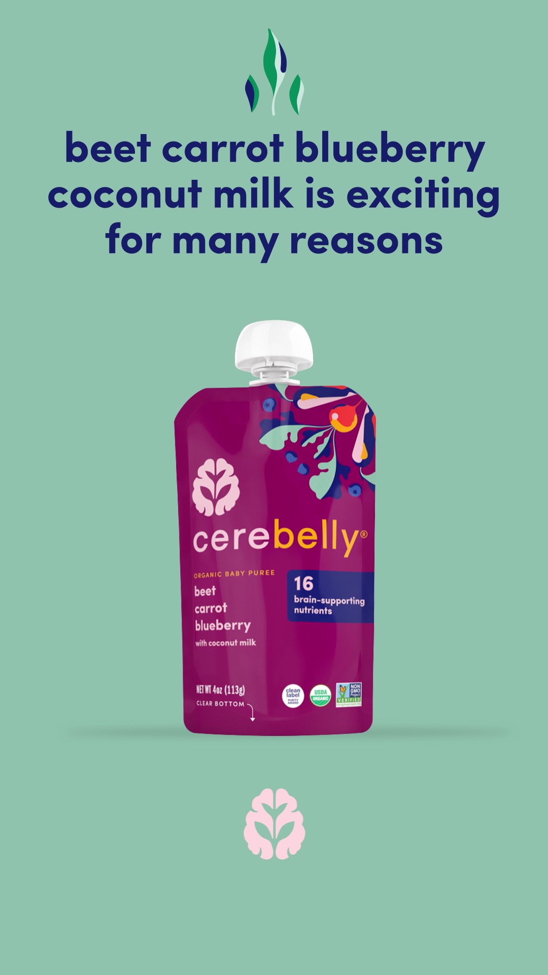 thumbnail video image 2 of Cerebelly Organic Stage 2 Beet Carrot Blueberry with Coconut Milk Baby Food, 4 oz Puree, 2 of 8