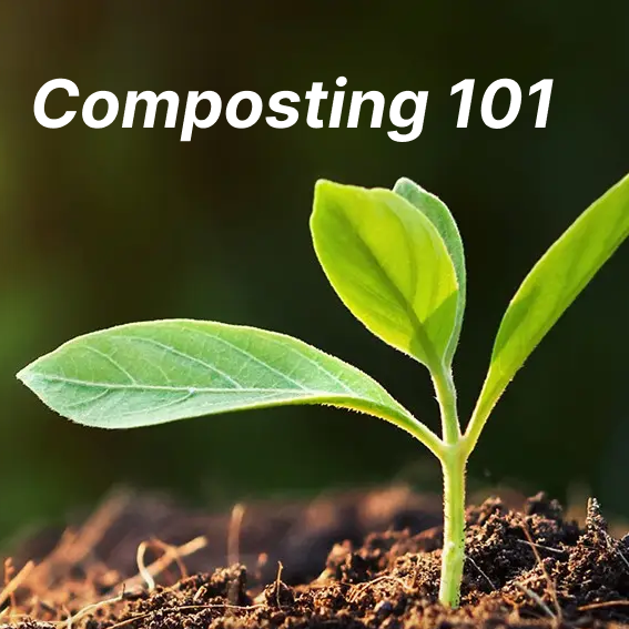 Composting 101 Guide