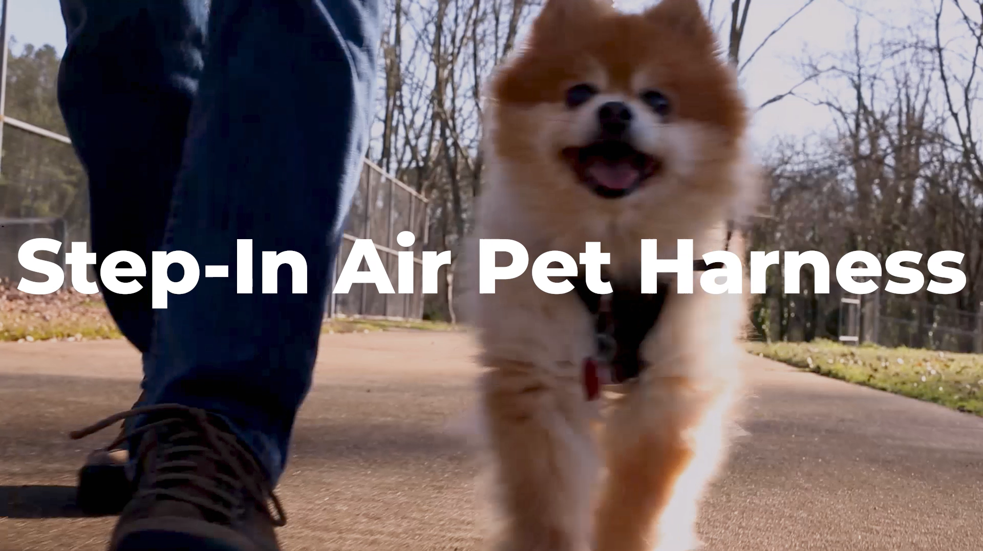 thumbnail video image 2 of Voyager Step-In Air Mesh Dog Harness by Best Pet Supplies, 2 of 10