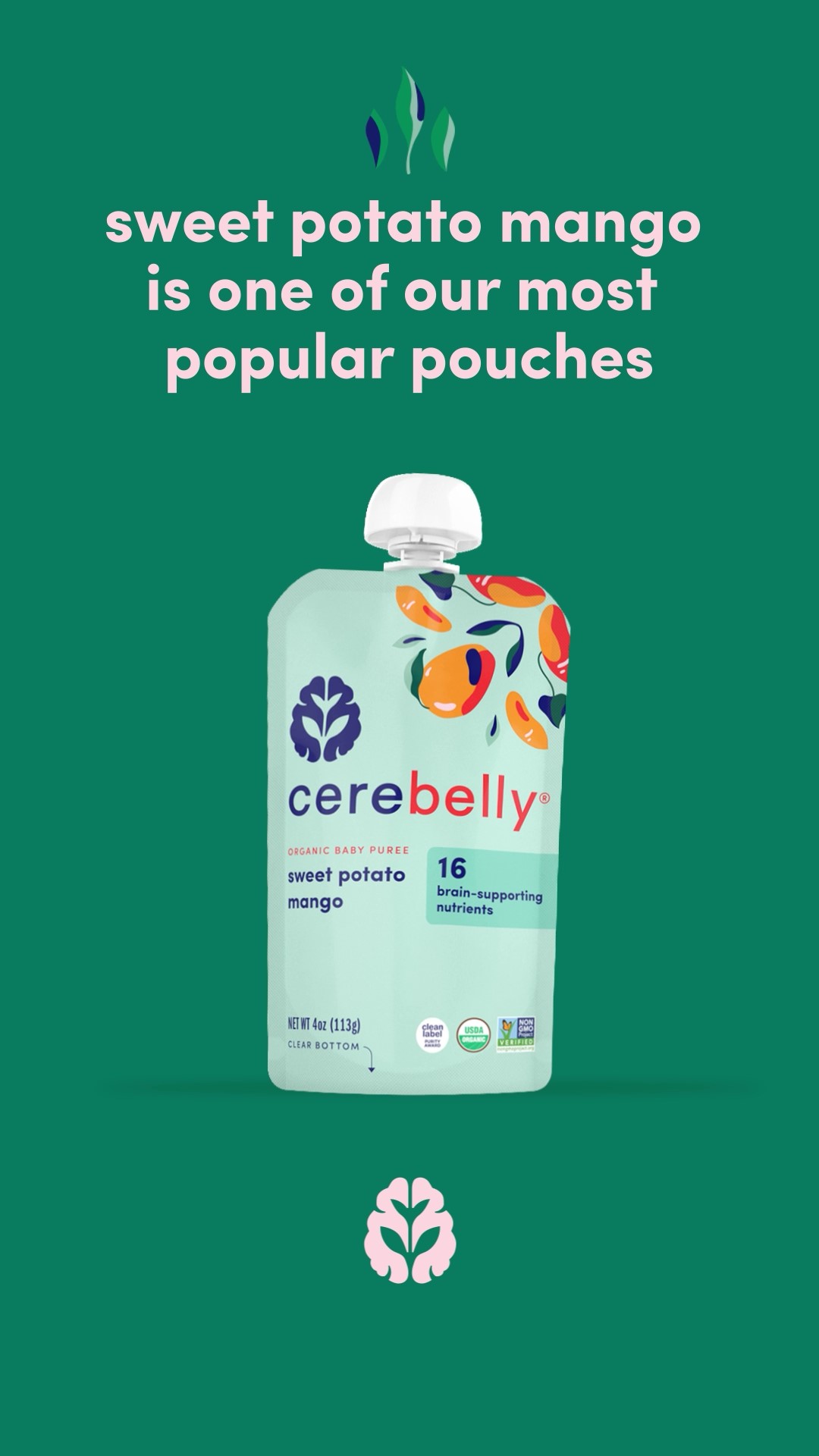 thumbnail video image 2 of (2 pack) Cerebelly Stage 2 Sweet Potato Mango Organic Baby Food Puree, 4 oz, 2 of 10