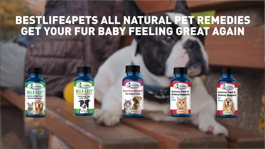 thumbnail video image 2 of BestLife4Pets Walk-Easy Extra Strength Dog Hip and Joint Supplement - Suitable for All Breeds, 2 of 21