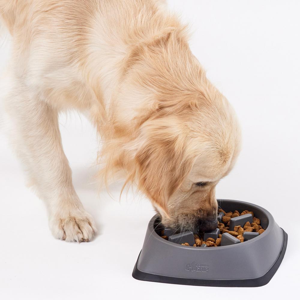 thumbnail video image 2 of GORILLA GRIP BPA Free Slow Feeder Dog Bowl, Interactive Puzzle Toy for Dogs and Cats, Food Training, Keeps Pets Busy and Prevents Puppy Overeating, 1 Cup Sage Green, 2 of 10