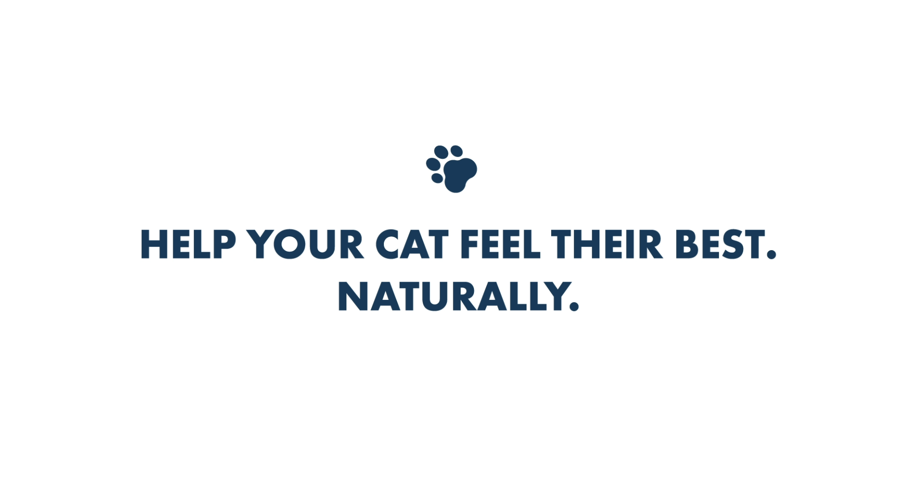 thumbnail video image 2 of BestLife4Pets Cat Dental Care & Bad Breath Supplement Relief for Stomatitis, Gingivitis & Gum Problems Easy-to-Use Pills, 2 of 18