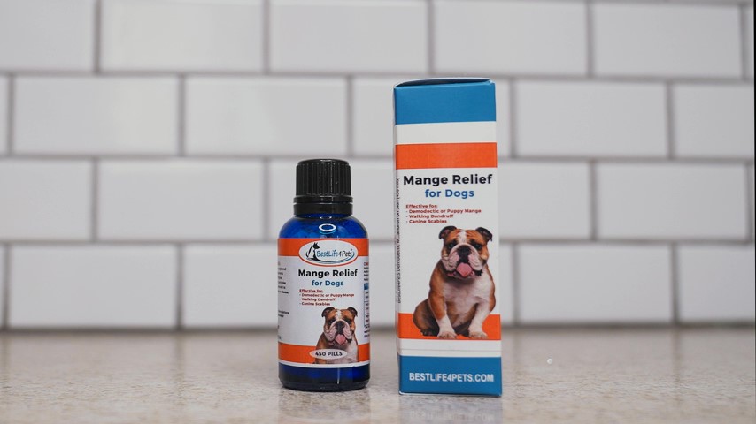 Demodectic Mange Medicine For Mange Demodectic Mange Cure For