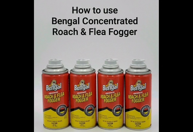 thumbnail video image 2 of Bengal Roach & Flea Fogger, 3 count, 2.7 oz cans, 2 of 12