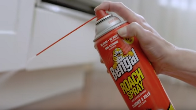 thumbnail video image 2 of Bengal Roach Spray, Pest Control Insect Killer Spray and Roach Treatment, 9 Oz. Dry Aerosol Can, 2 of 5