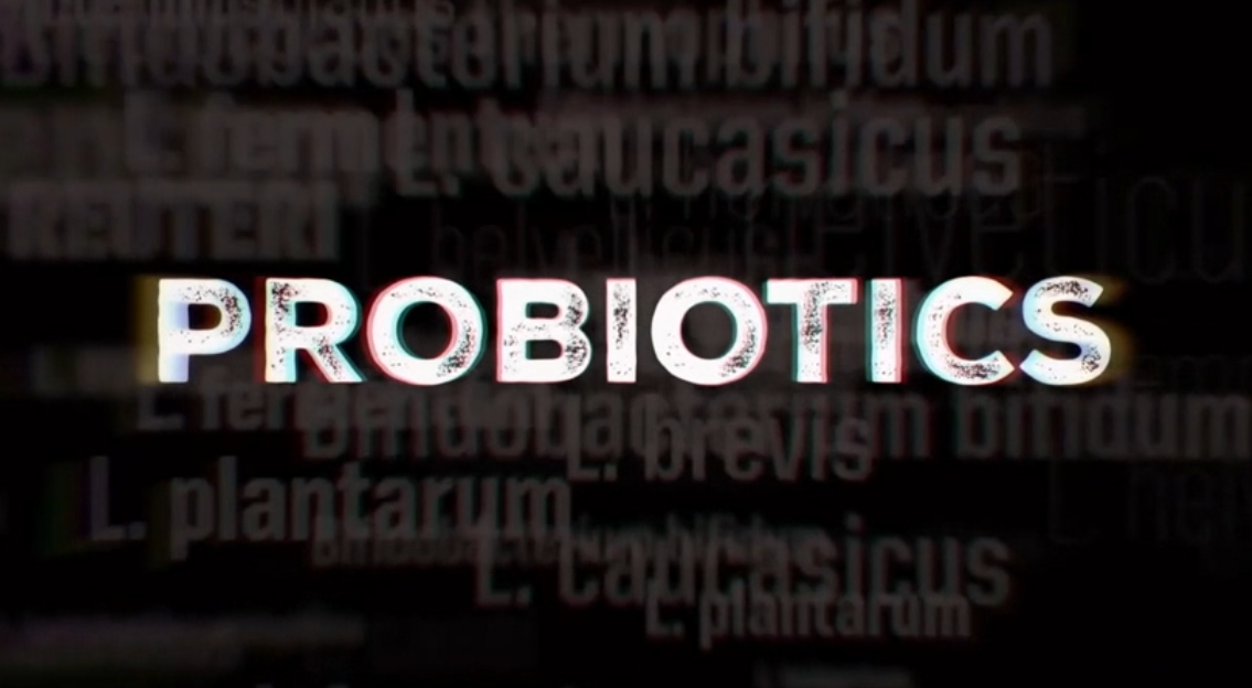 thumbnail video image 2 of Sunwarrior Organic Soil-Based Probiotics|10 Billion CFU for Digestive Health, 30 CT, 2 of 8