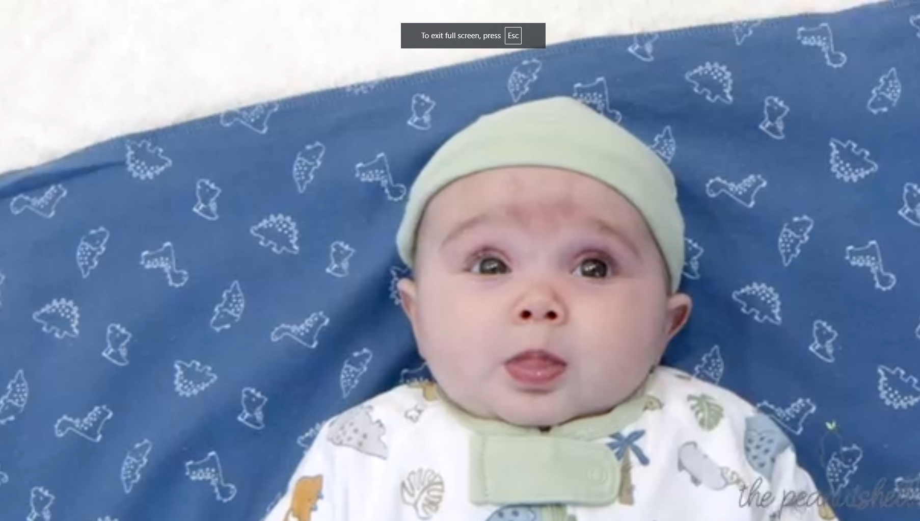 thumbnail video image 2 of The Peanutshell Newborn Baby Layette Gift Set for Baby Boys, Woodland Animals, 23 Essential Pieces, 0-3 Months, 2 of 7