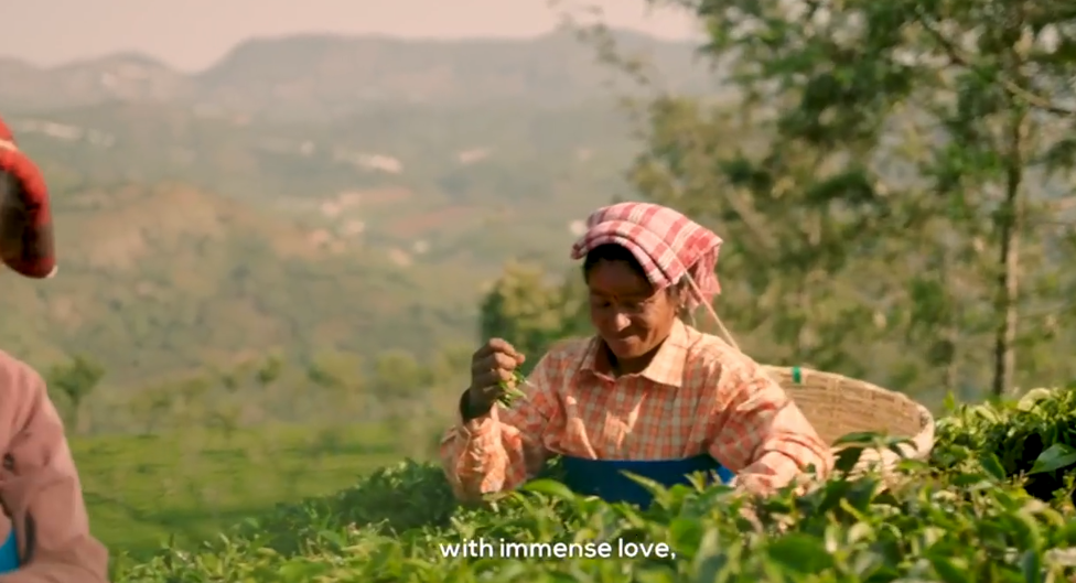 thumbnail video image 2 of VAHDAM, Organic Onion Powder (2.47oz/70g) Gluten Free, Non GMO, 100% Raw | Aromatic Spice, Perfect for Seasoning, Cooking | Direct from Source, 2 of 8