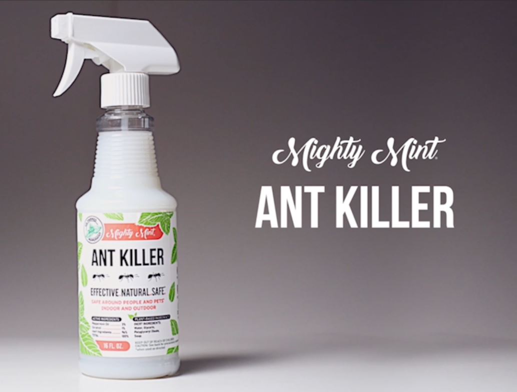 thumbnail video image 2 of Mighty Mint Indoor Ant & Cockroach Killer Spray, 16 fl oz, 2 of 7
