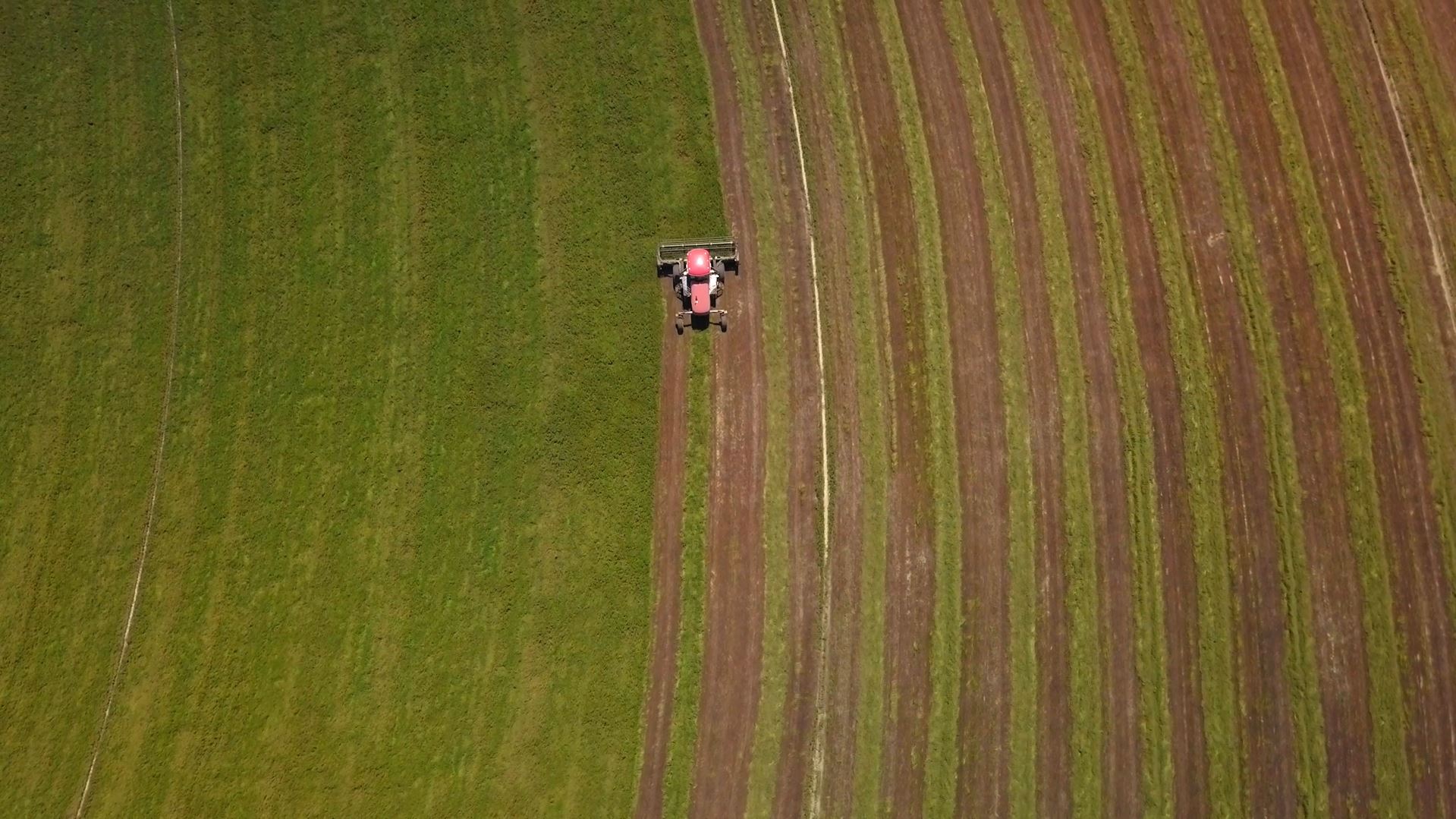thumbnail video image 2 of Mighty Mint 16oz Cockroach Repellent Peppermint Oil Spray - Natural Roach Killer + Deterrent, 2 of 8