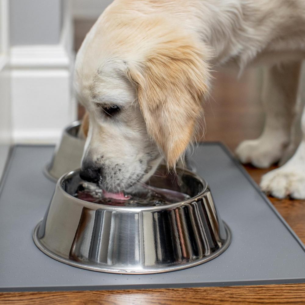 Dog Bowl Set Of 2, Heavy Duty Stainless Steel Bowls By GORILLA GRIP, Holds 6 Cups, Gray