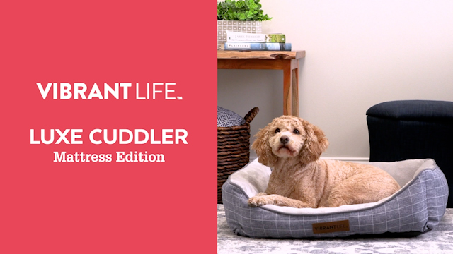 thumbnail video image 2 of Vibrant Life Eco Luxe Cuddler Mattress Edition, 2 of 11