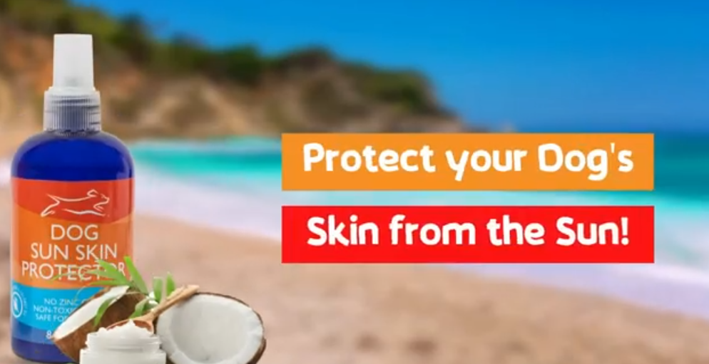 thumbnail video image 2 of EBPP Dog Skin Sun Protection Spray Soothing, Non-Greasy Dog Sunscreen, 8 fl Oz, 2 of 10
