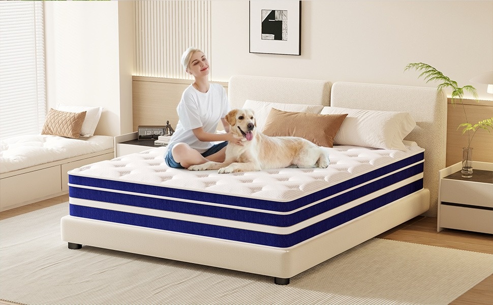 GUUKIN 12 inch King Mattress, Memory Foam & Spring Hybrid Medium