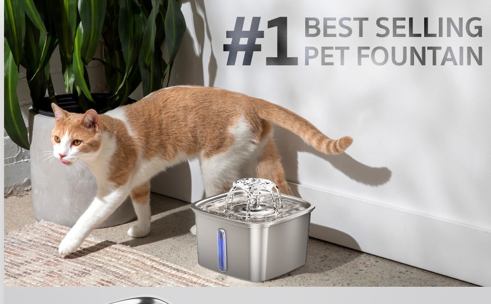 Stainless Steel The Best Cat Fountain Automatic Cat Best Cat Water