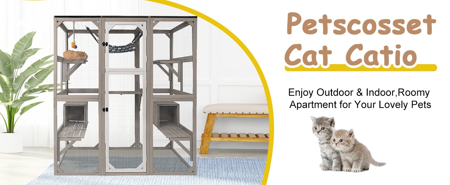 Pet Moving Outdoor Cat To Apartment 15 Best Cat Houses And Condos